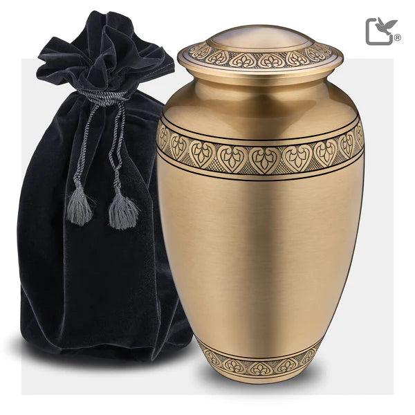 Infinity Gold Classic (Adult)
