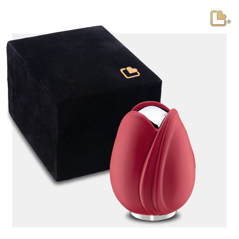Tulip Red (Keepsake)