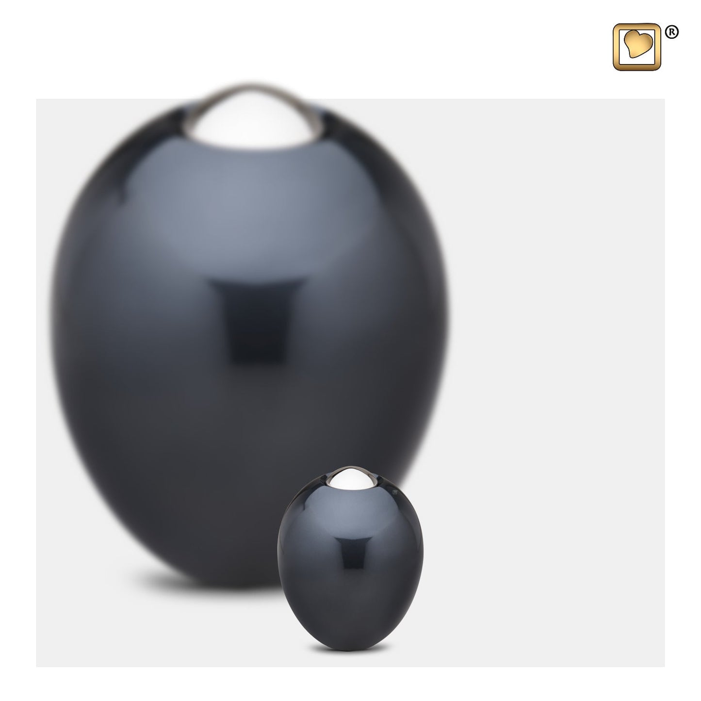 Adore Midnight (Keepsake) - K510