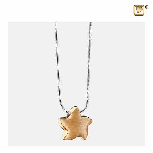 Pendant: Angelic Star - Gold Vermeil Two Tone - PD1031