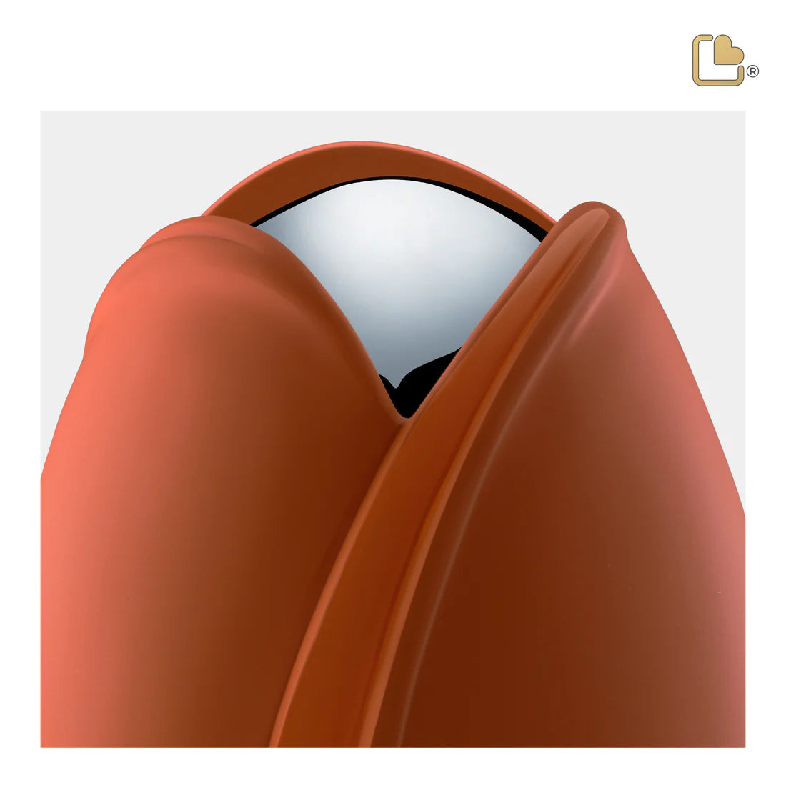 Tulip Orange (Adult)*
