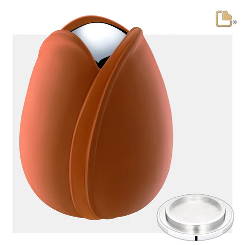 Tulip Orange (Adult)*