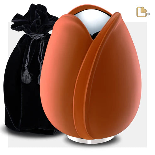 Tulip Orange (Adult)*