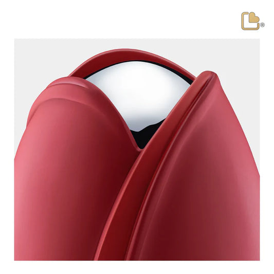 Tulip Red (Adult)