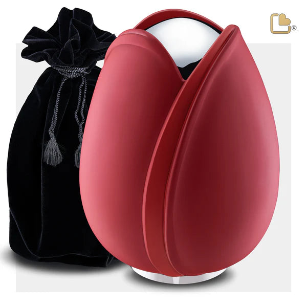 Tulip Red (Adult)