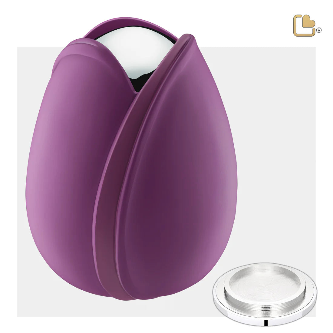 Tulip Purple (Adult)*