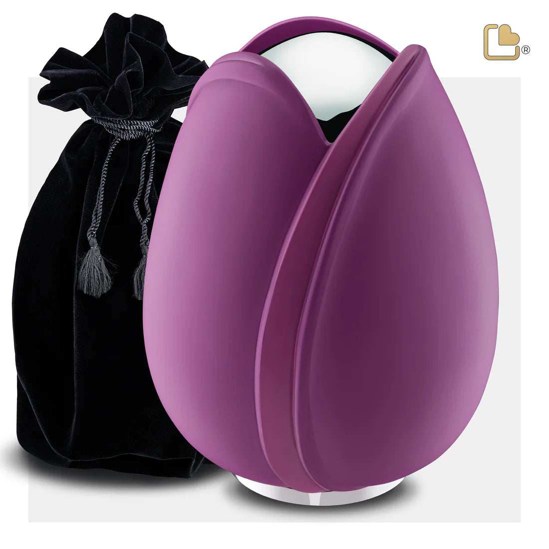 Tulip Purple (Adult)*