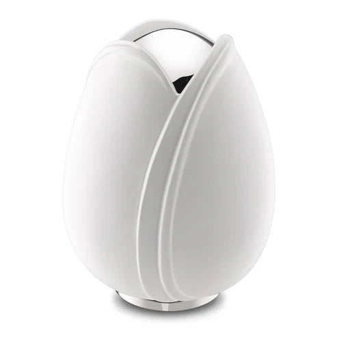 Tulip White (Adult)*