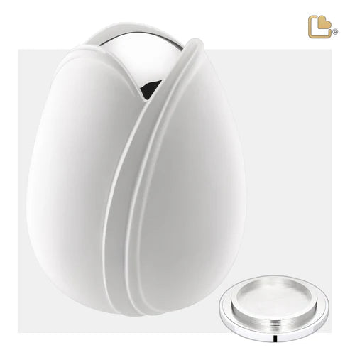 Tulip White (Adult)*