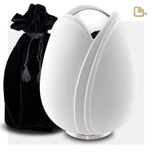 Tulip White (Adult)*