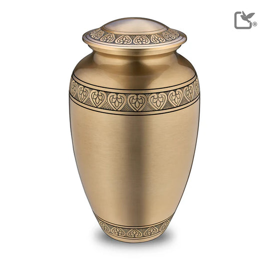 Infinity Gold Classic (Adult)