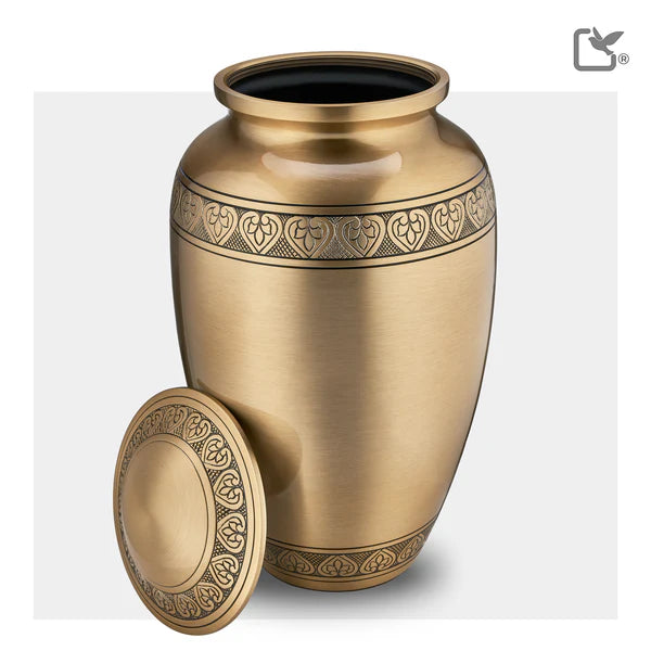 Infinity Gold Classic (Adult)
