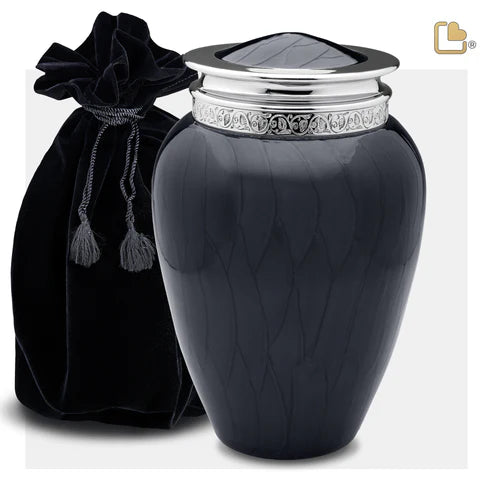 Blessing Midnight (Adult)
