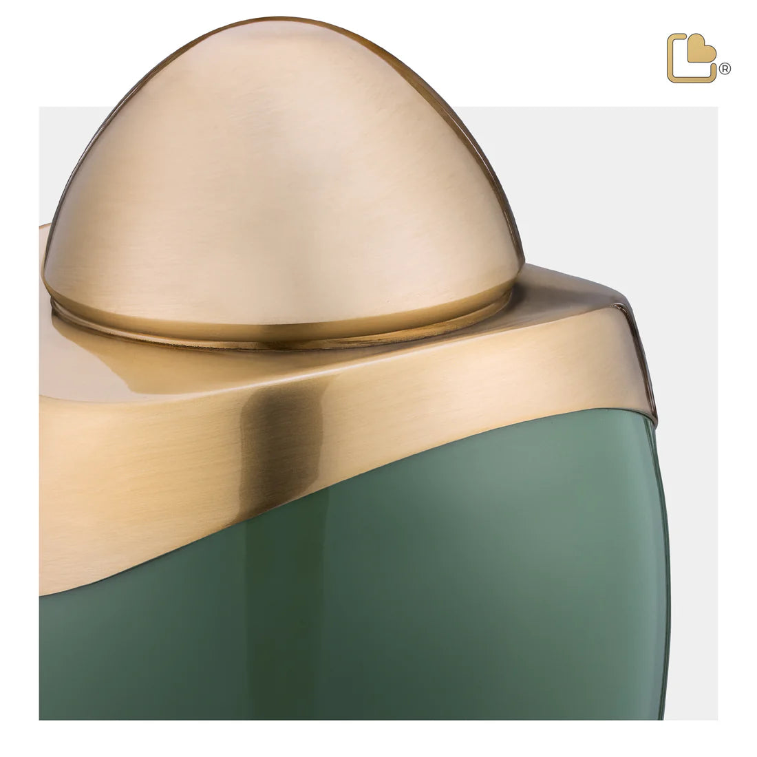 Amore™ Sage Green & Brushed Gold (Adult)*