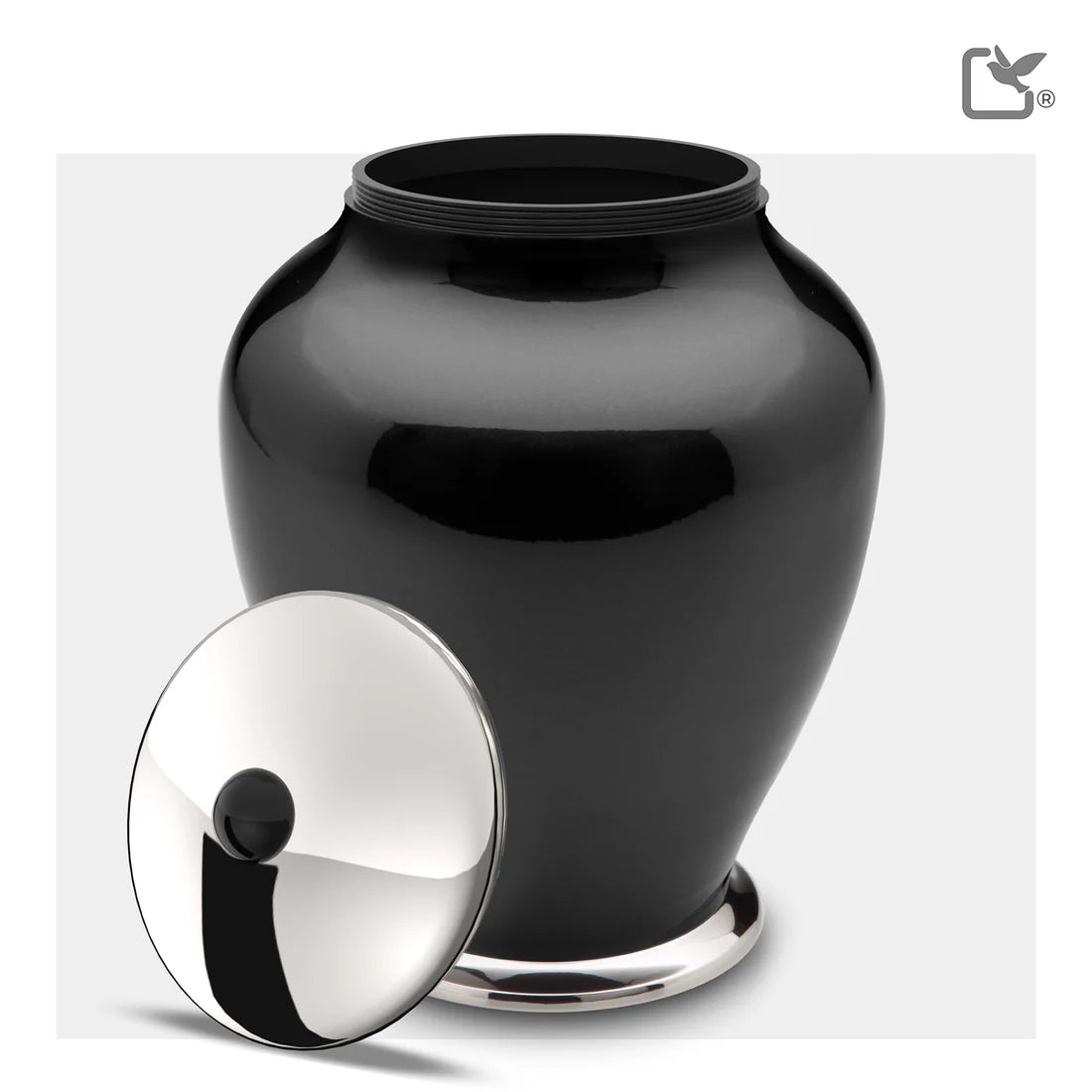 Simplicity Midnight Tall (Adult)