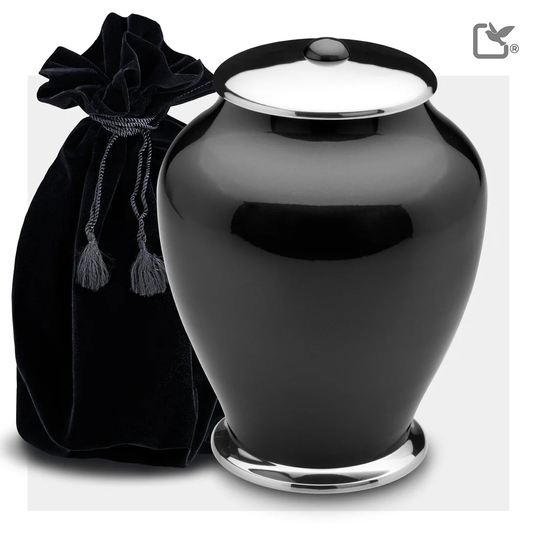 Simplicity Midnight Tall (Adult)