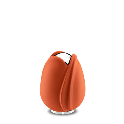 Tulip Orange (Keepsake)*