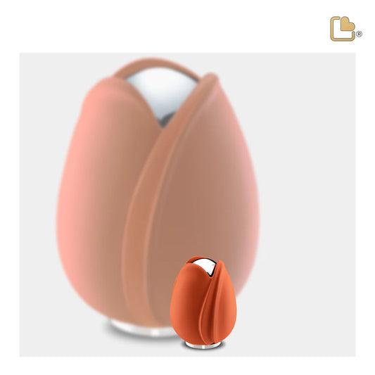 Tulip Orange (Keepsake)*