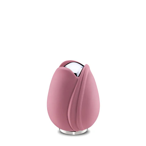 Tulip Pink (Keepsake)