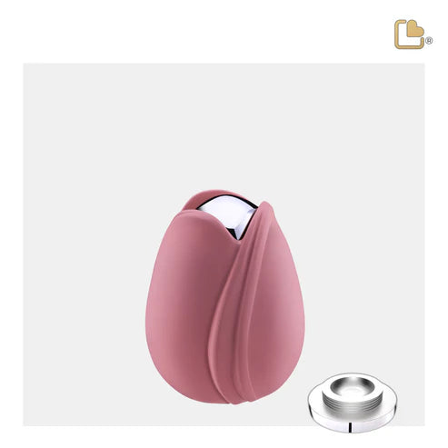 Tulip Pink (Keepsake)
