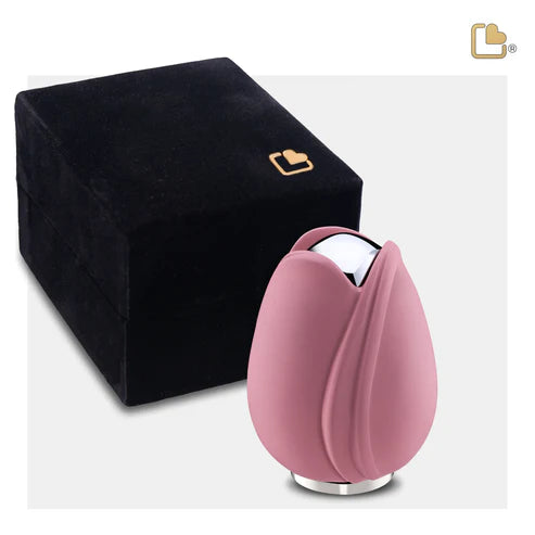 Tulip Pink (Keepsake)