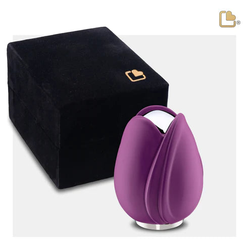 Tulip Purple (Keepsake)*