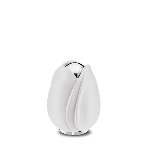 Tulip White (Keepsake)*