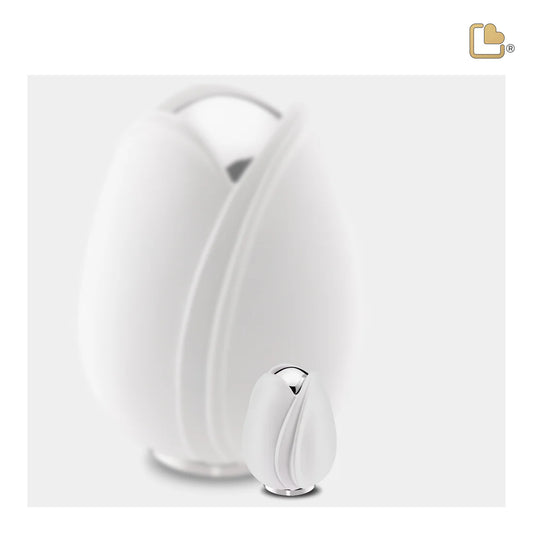 Tulip White (Keepsake)*