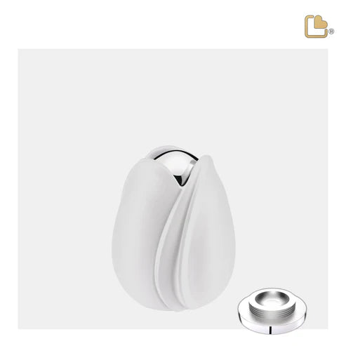 Tulip White (Keepsake)*