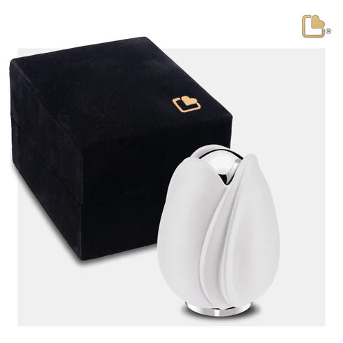 Tulip White (Keepsake)*