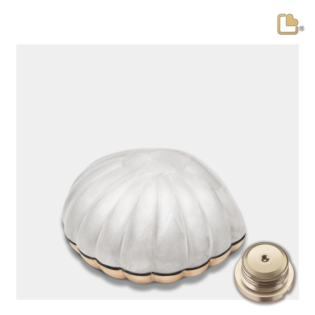 Pearl White (Keepsake Clam)
