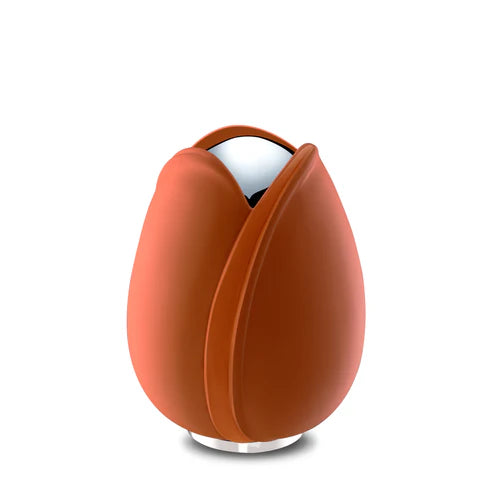 Tulip Orange (Medium)*