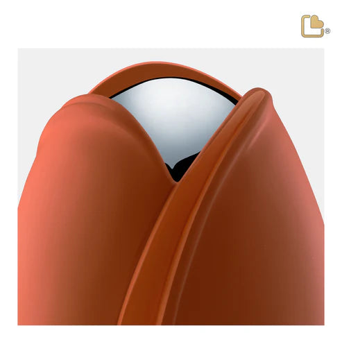 Tulip Orange (Medium)*
