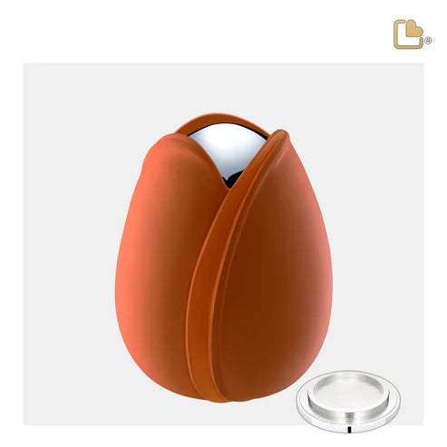 Tulip Orange (Medium)*