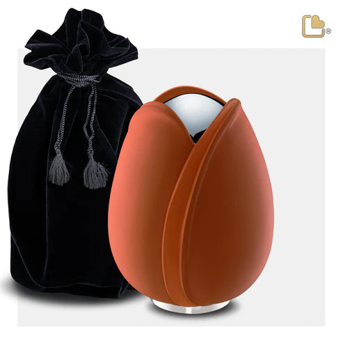 Tulip Orange (Medium)*