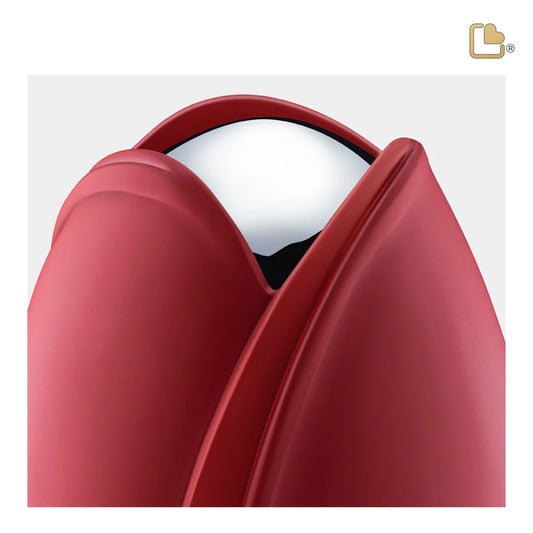 Tulip Red (Medium)