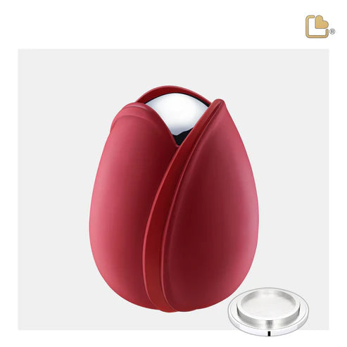 Tulip Red (Medium)