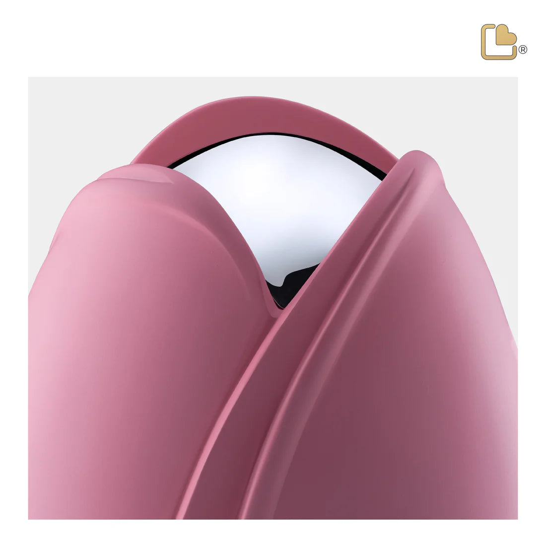 Tulip Pink (Medium)