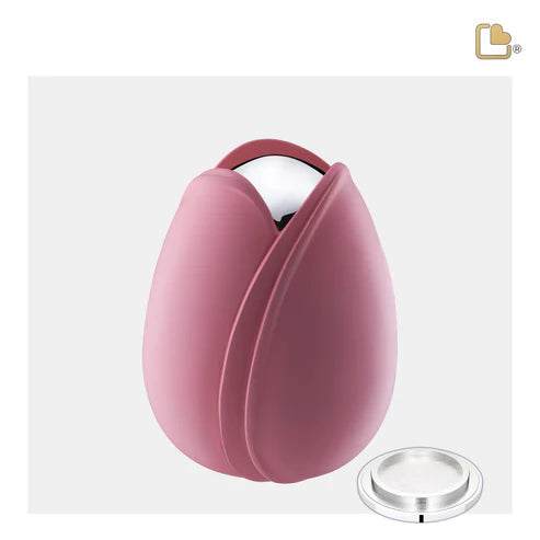 Tulip Pink (Medium)