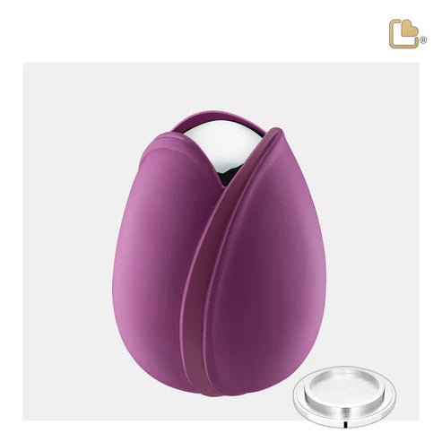 Tulip Purple (Medium)*
