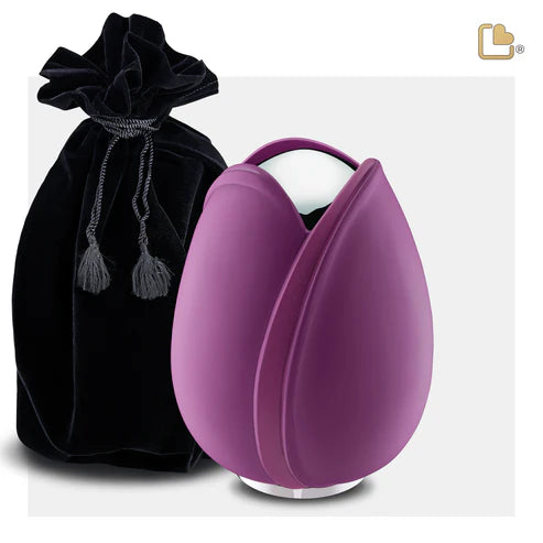 Tulip Purple (Medium)*
