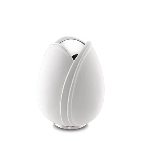 Tulip White (Medium)*