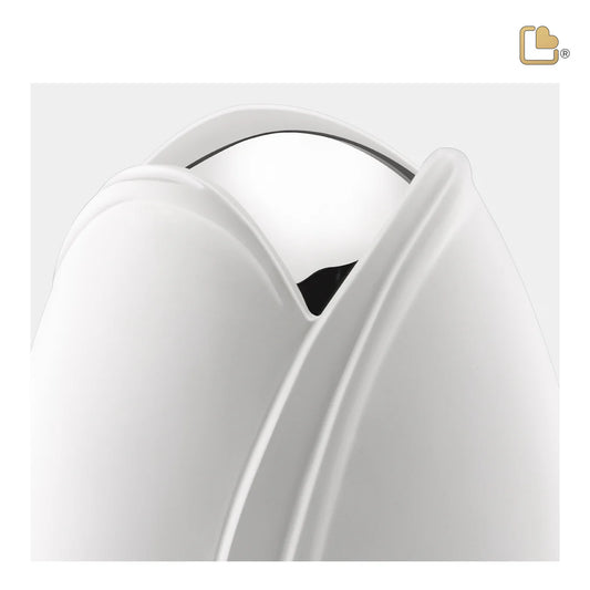 Tulip White (Medium)*