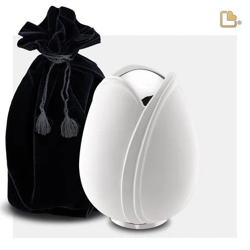 Tulip White (Medium)*