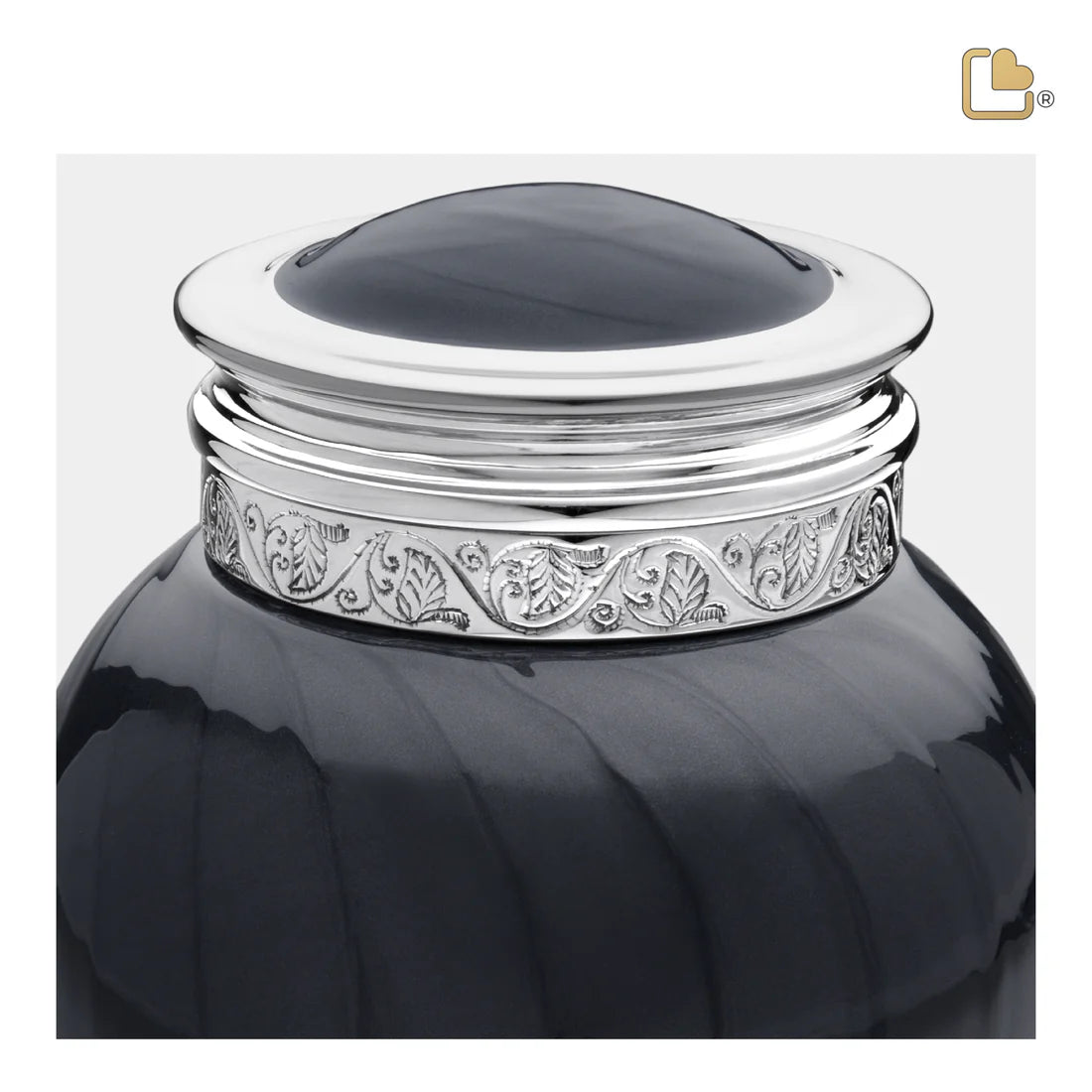 Blessing Midnight (Medium)