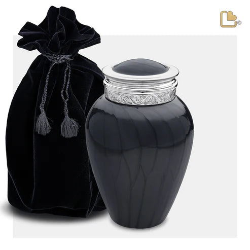 Blessing Midnight (Medium)